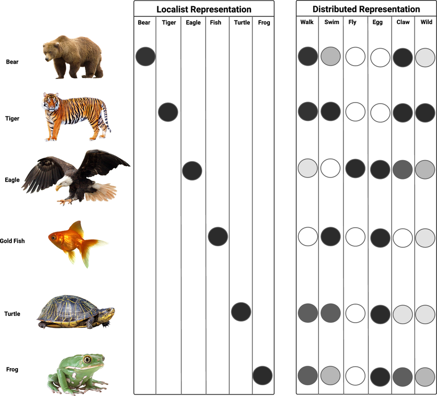 Local vs. Distributed Representations of a bunch of animals