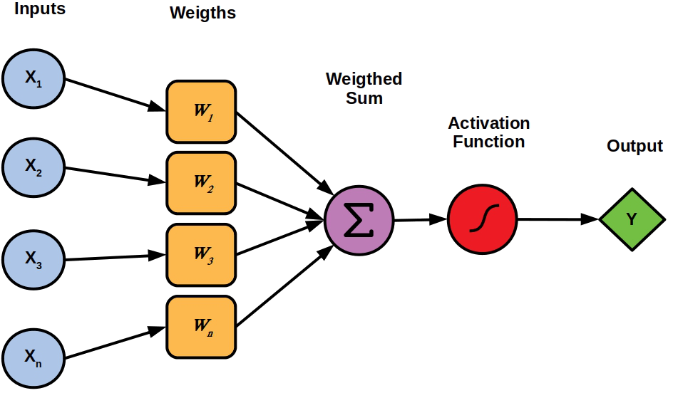 Functioning of a single neuron