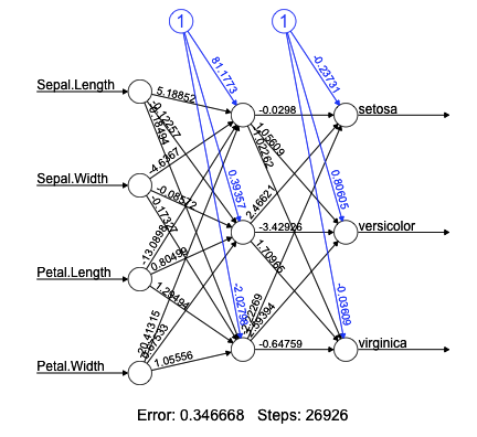 Example of a neural network trained on the Iris dataset
