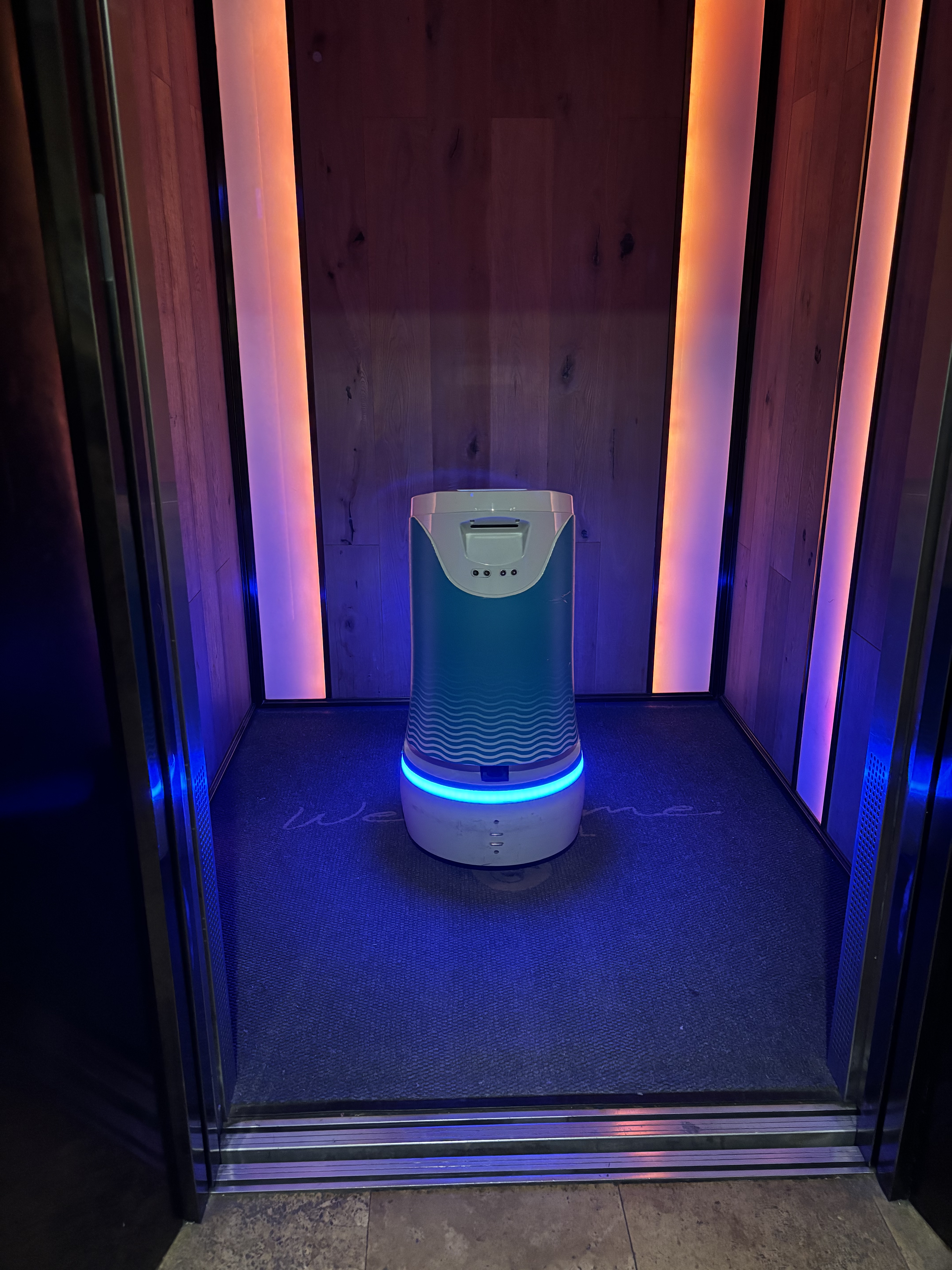 Food delivery robot