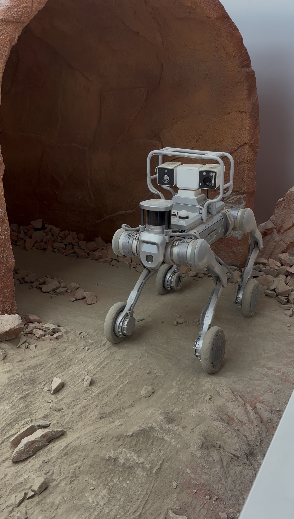Space explorer robot